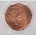 CANADA 1979 . ONE 1 CENT . ERROR . DOUBLE STRUCK